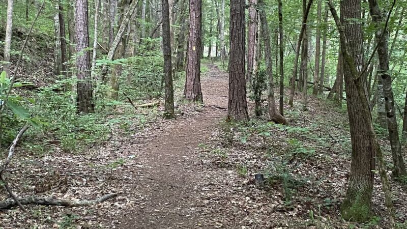 Cherokee Bluff Dam Railroad Trail- Trailhead - Dadeville, AL