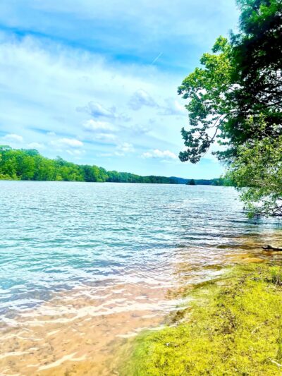 Cherokee Bluff Dam Railroad Trail- Trailhead - Dadeville, AL