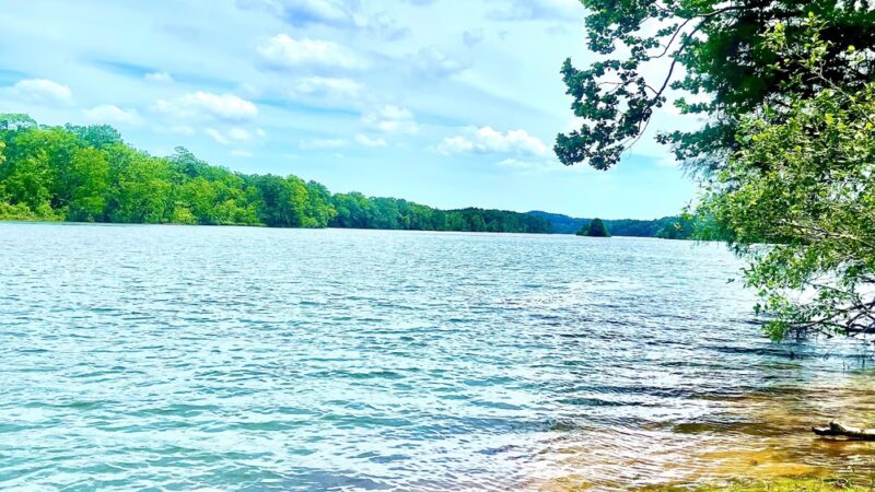 Cherokee Bluff Dam Railroad Trail- Trailhead - Dadeville, AL