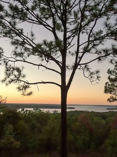 Cherokee Ridge Alpine Trail - Dadeville, AL