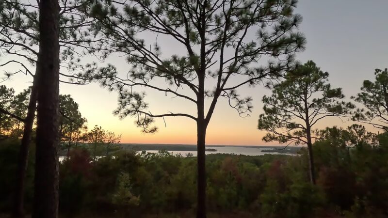 Cherokee Ridge Alpine Trail - Dadeville, AL