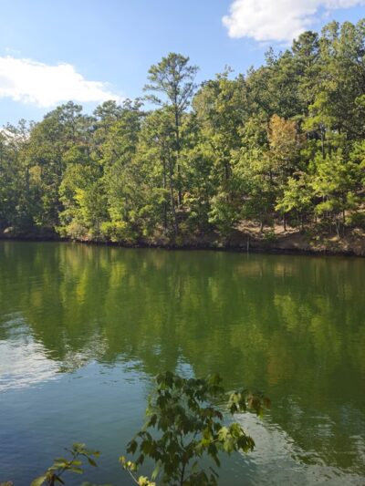 Cherokee Ridge Alpine Trail - Dadeville, AL
