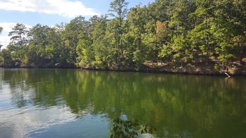 Cherokee Ridge Alpine Trail - Dadeville, AL