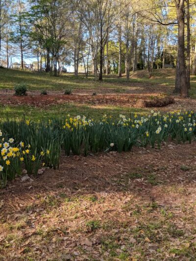Keebler Park - Dadeville, AL