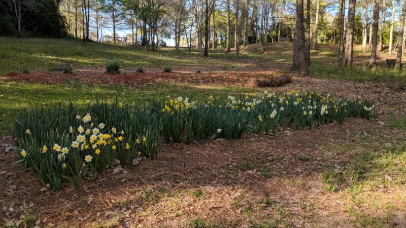 Keebler Park - Dadeville, AL