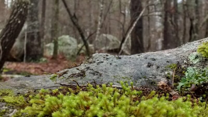 Park place - Dadeville, AL