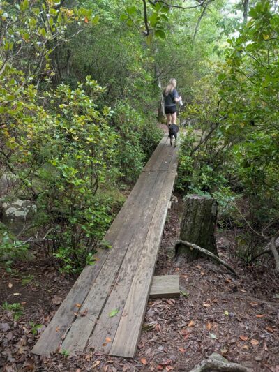 The Deadening Alpine Trailhead - Dadeville, AL