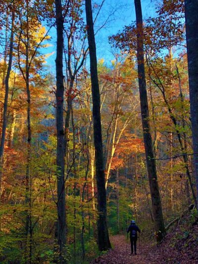 Lake Zwerner Trail and Pulloff - Dahlonega, GA