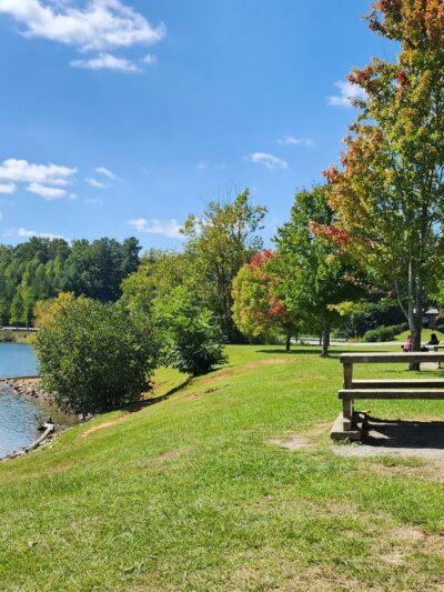Lake Zwerner Trail and Pulloff - Dahlonega, GA