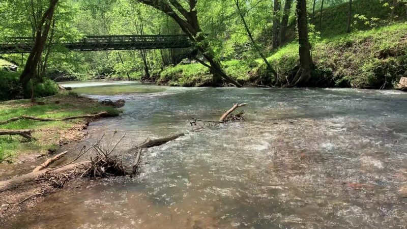 Yahoola Creek Park - Dahlonega, GA