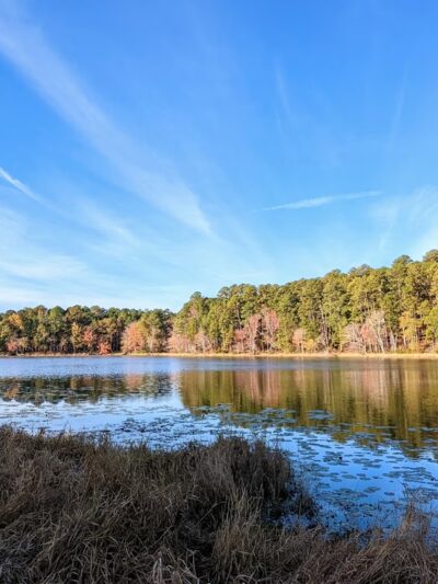 Daingerfield State Park - Daingerfield, TX