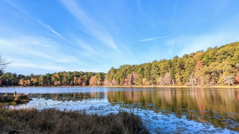 Daingerfield State Park - Daingerfield, TX