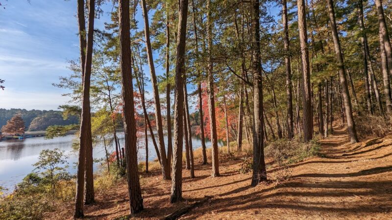 Daingerfield State Park - Daingerfield, TX