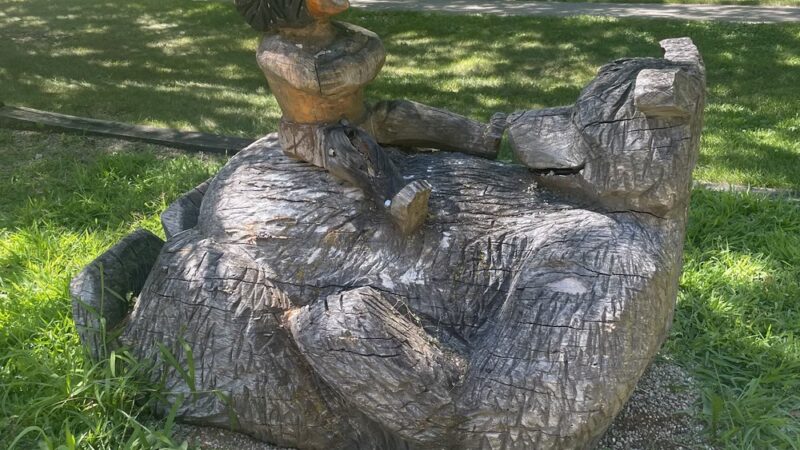 Dakota Park - Dakota, IL