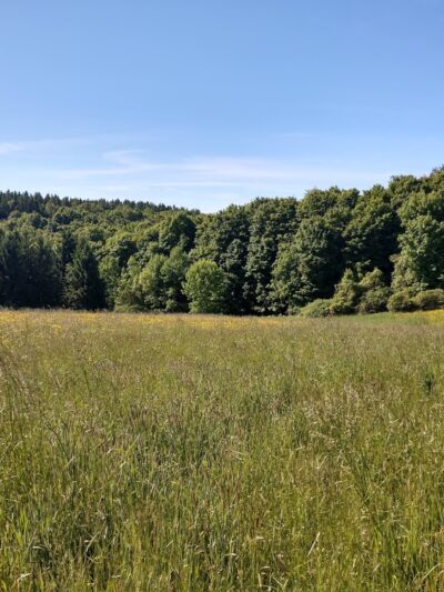 Carlton Hill Multiple Use Area - Dale, NY