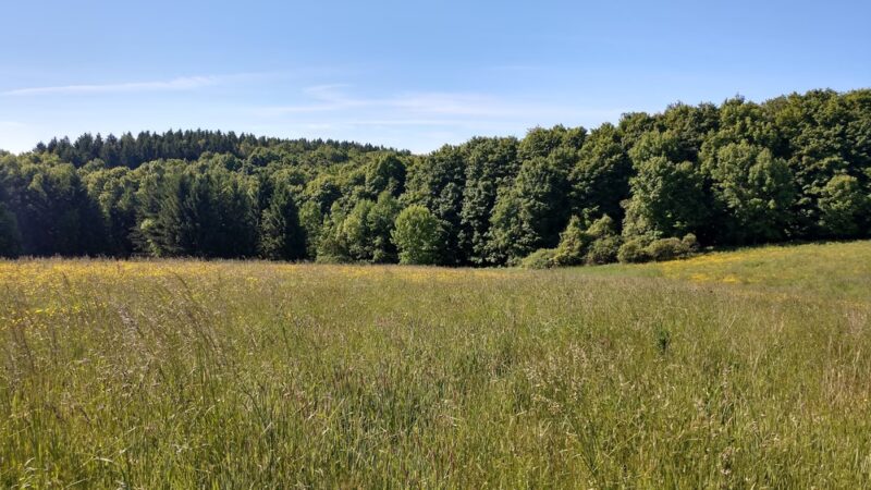 Carlton Hill Multiple Use Area - Dale, NY