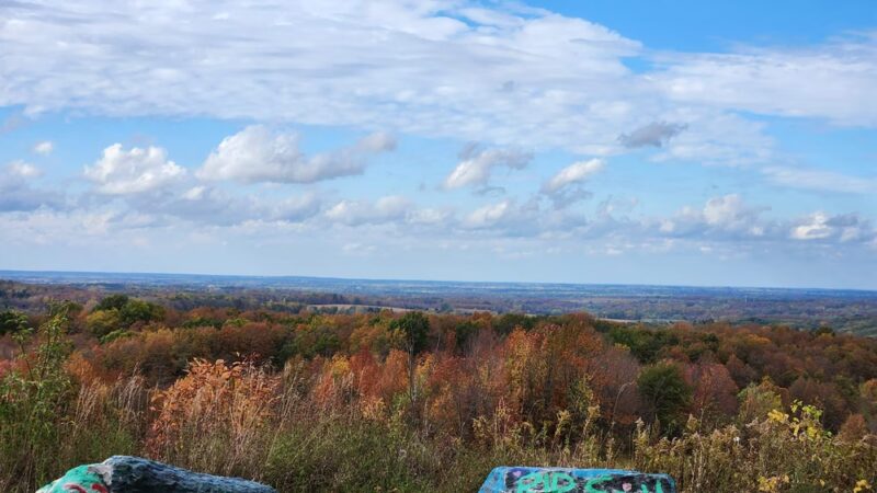 Carlton Hill Multiple Use Area - Dale, NY