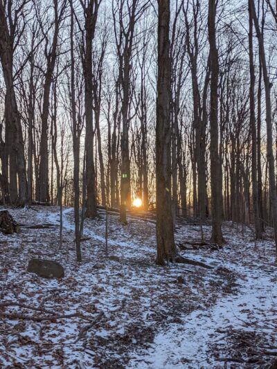 Carlton Hill Multiple Use Area - Dale, NY