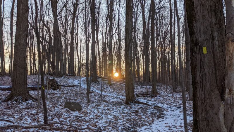 Carlton Hill Multiple Use Area - Dale, NY