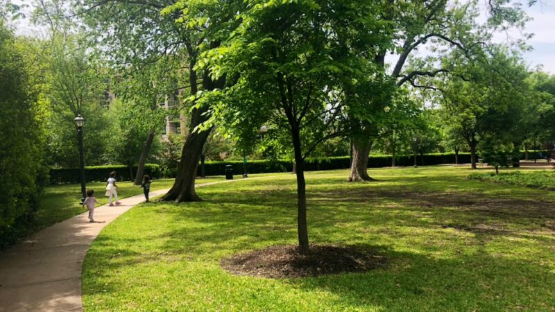 Abbott Park-highland park - Dallas, TX