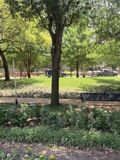 Anita Phelps Park - Dallas, TX