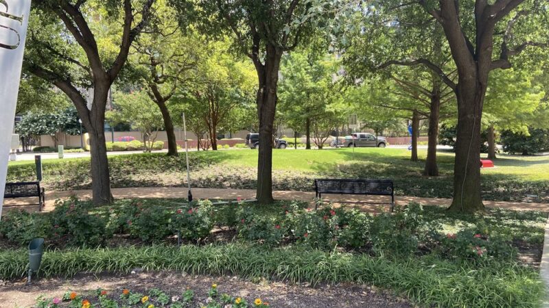 Anita Phelps Park - Dallas, TX