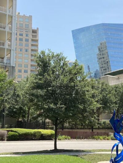 Anita Phelps Park - Dallas, TX