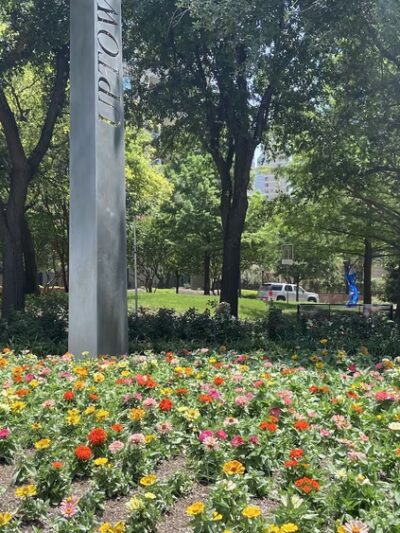Anita Phelps Park - Dallas, TX