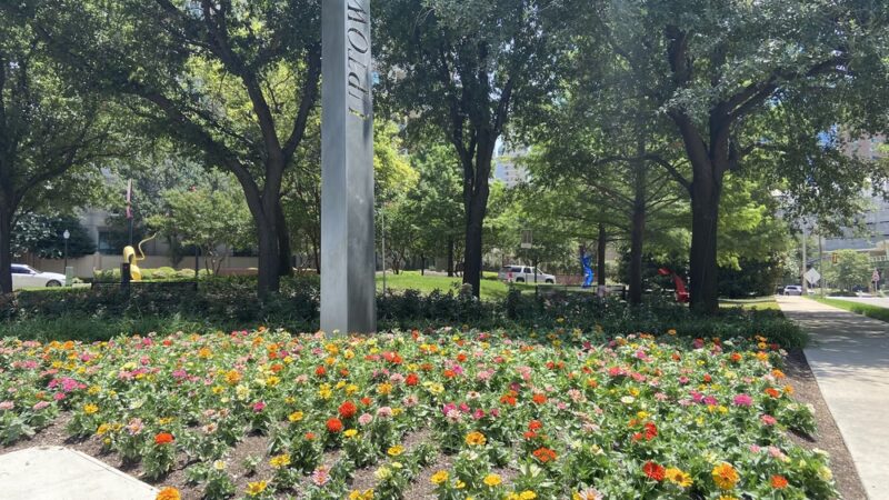 Anita Phelps Park - Dallas, TX