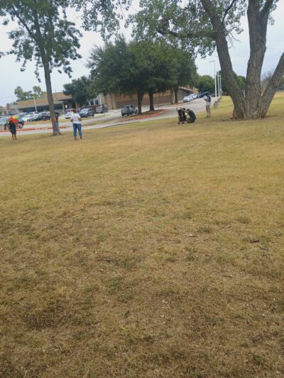 Audelia Park - Dallas, TX