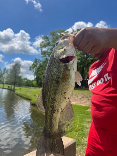 Bitter Creek Park - Dallas, TX