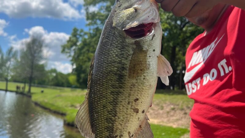 Bitter Creek Park - Dallas, TX