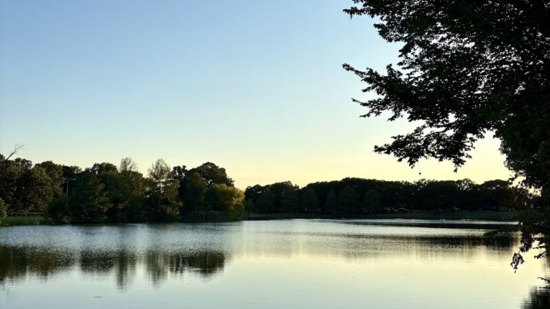 Bitter Creek Park - Dallas, TX