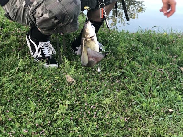 Bitter Creek Park - Dallas, TX