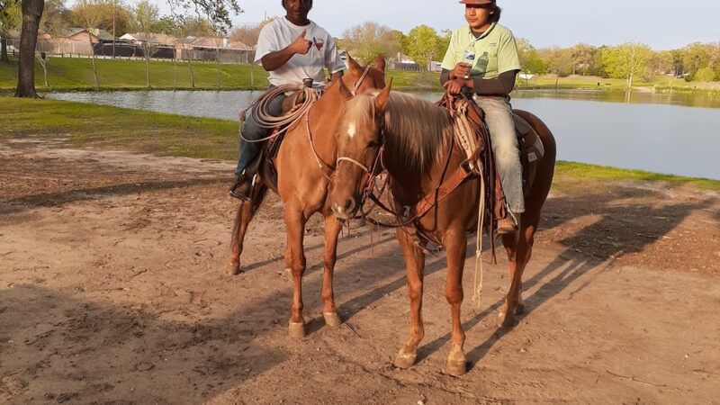 Bitter Creek Park - Dallas, TX