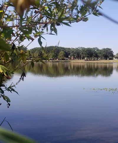 Bitter Creek Park - Dallas, TX