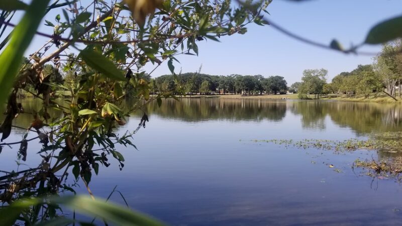 Bitter Creek Park - Dallas, TX