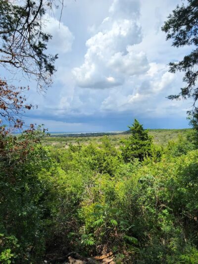Cedar Ridge Preserve - Dallas, TX