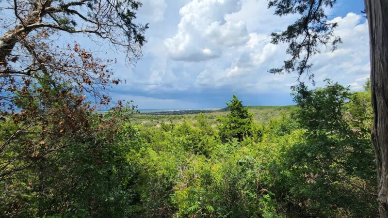 Cedar Ridge Preserve - Dallas, TX