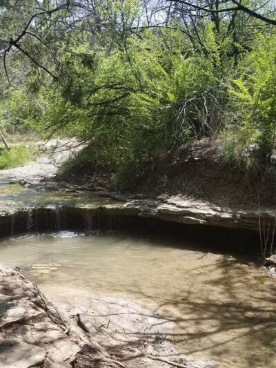 Cedar Ridge Preserve - Dallas, TX
