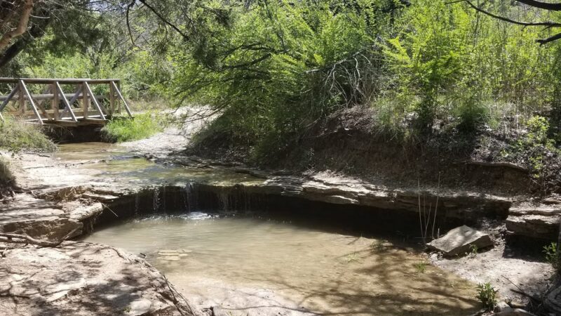 Cedar Ridge Preserve - Dallas, TX