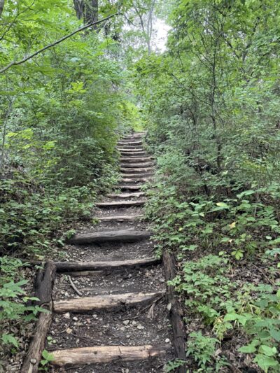 Cedar Ridge Preserve - Dallas, TX