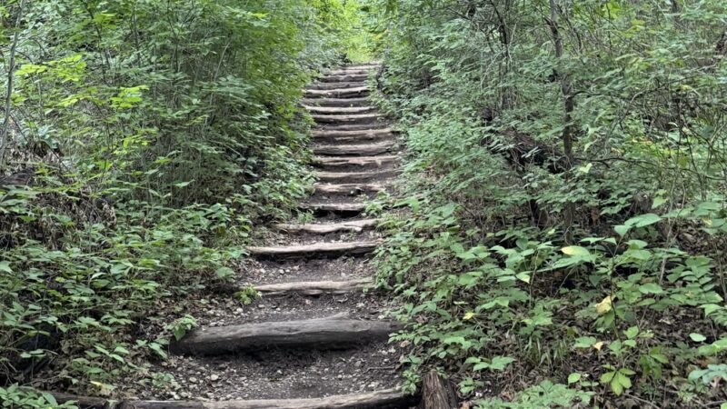 Cedar Ridge Preserve - Dallas, TX