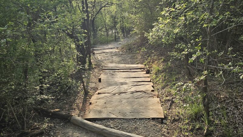 Cedar Ridge Trail Head Parking - Dallas, TX