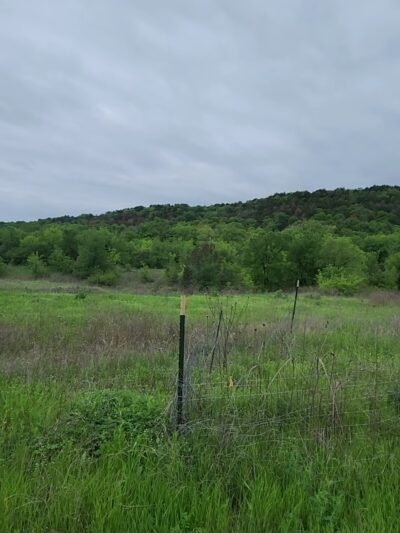 Cedar Ridge Trail Head Parking - Dallas, TX