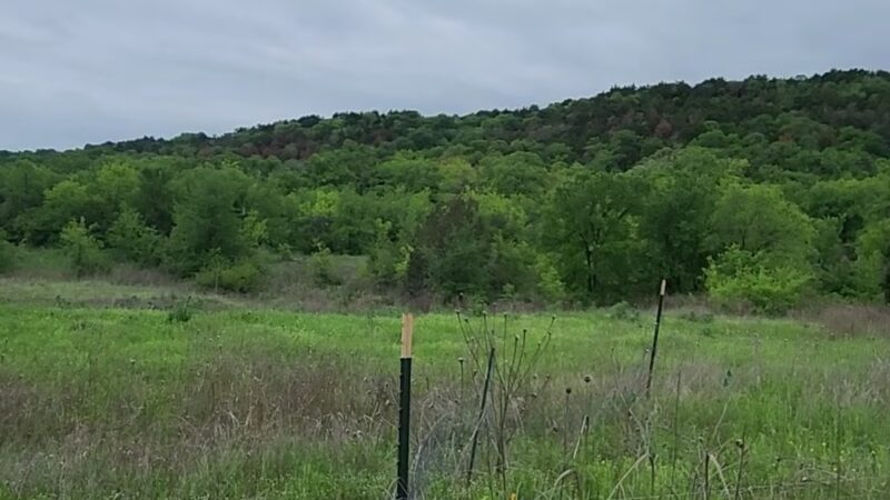 Cedar Ridge Trail Head Parking - Dallas, TX