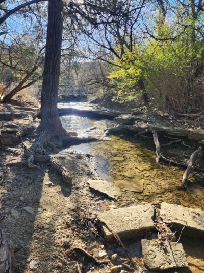 Cedar Ridge Trail Head Parking - Dallas, TX
