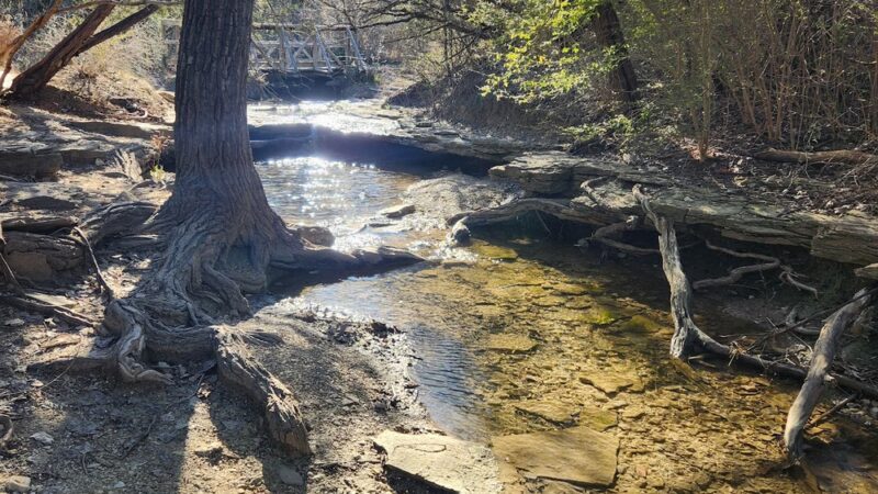 Cedar Ridge Trail Head Parking - Dallas, TX