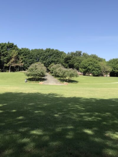 Celestial Park - Dallas, TX