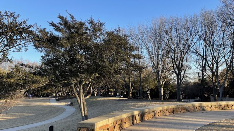 Celestial Park - Dallas, TX